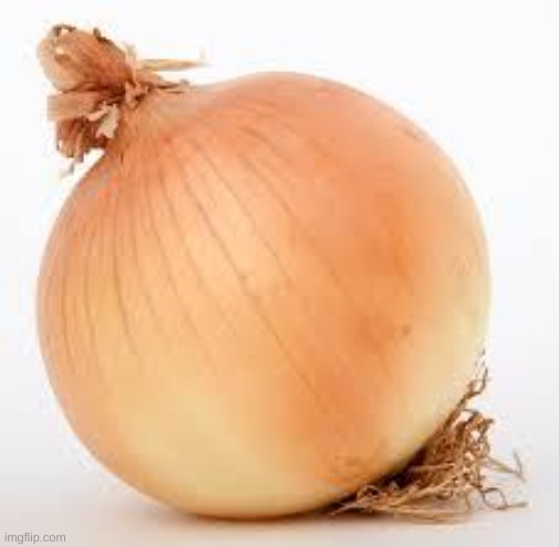 Let's see how popular an onion can get | image tagged in onion | made w/ Imgflip meme maker