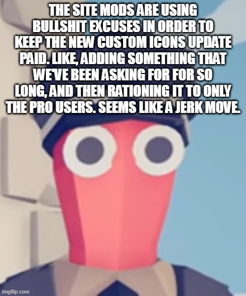 TABS Stare | THE SITE MODS ARE USING BULLSHIT EXCUSES IN ORDER TO KEEP THE NEW CUSTOM ICONS UPDATE PAID. LIKE, ADDING SOMETHING THAT WE'VE BEEN ASKING FOR FOR SO LONG, AND THEN RATIONING IT TO ONLY THE PRO USERS. SEEMS LIKE A JERK MOVE. | image tagged in tabs stare | made w/ Imgflip meme maker