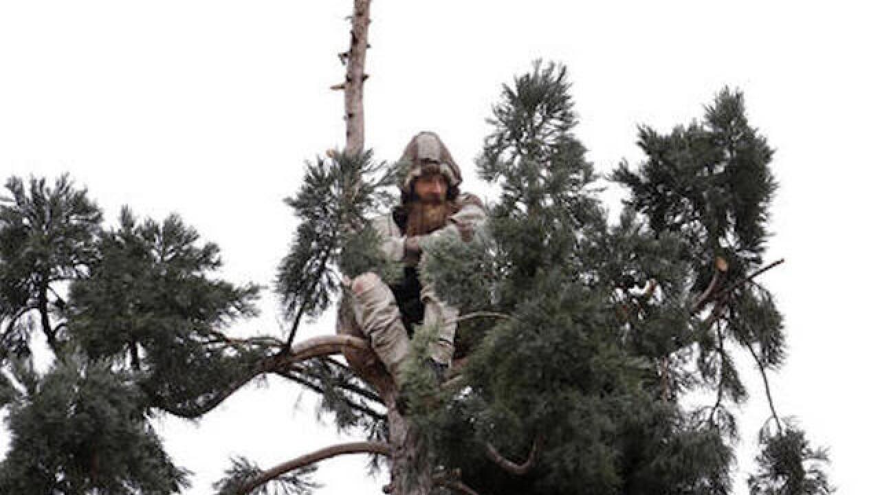 century tree Blank Meme Template