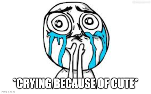 Crying Because Of Cute Meme | *CRYING BECAUSE OF CUTE* | image tagged in memes,crying because of cute | made w/ Imgflip meme maker