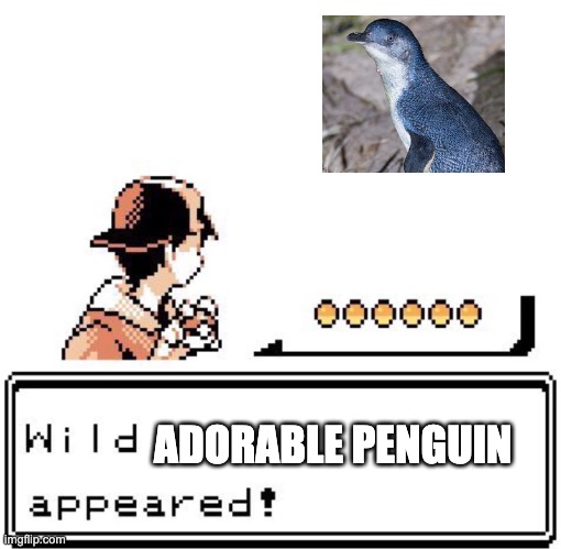 Penguin | ADORABLE PENGUIN | image tagged in blank wild pokemon appears | made w/ Imgflip meme maker
