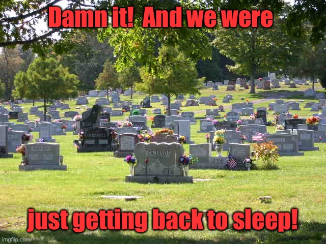 cemetery | Damn it!  And we were just getting back to sleep! | image tagged in cemetery | made w/ Imgflip meme maker