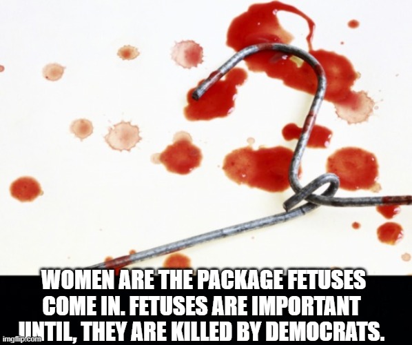 democrats kill babies | WOMEN ARE THE PACKAGE FETUSES COME IN. FETUSES ARE IMPORTANT UNTIL, THEY ARE KILLED BY DEMOCRATS. | image tagged in black background | made w/ Imgflip meme maker