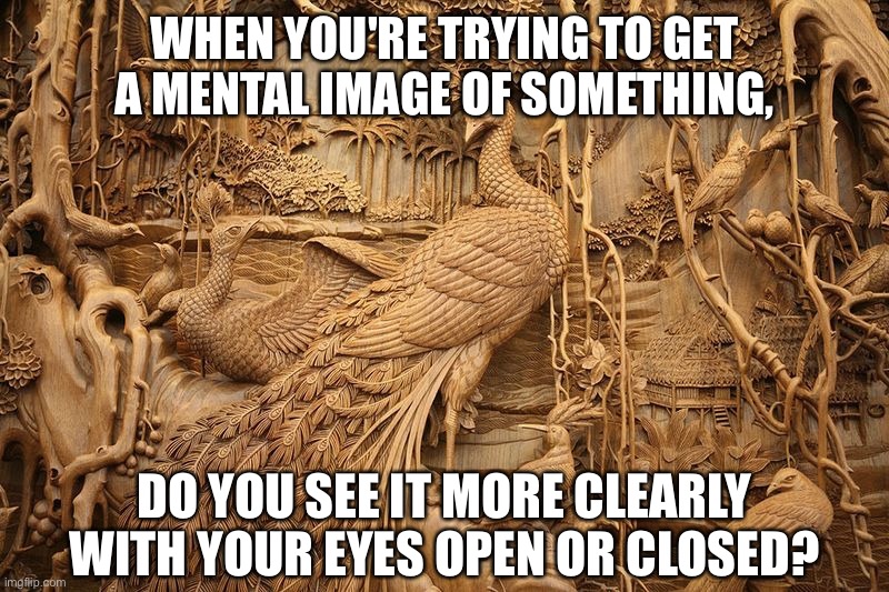  WHEN YOU'RE TRYING TO GET A MENTAL IMAGE OF SOMETHING, DO YOU SEE IT MORE CLEARLY WITH YOUR EYES OPEN OR CLOSED? | made w/ Imgflip meme maker