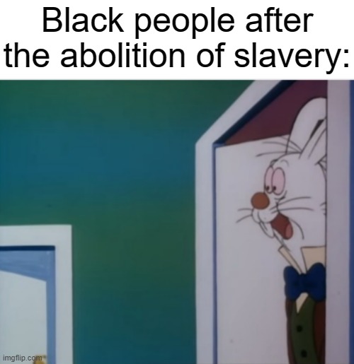 "We totally don't see the South planning on restricting our new found freedom" | Black people after the abolition of slavery: | image tagged in white rabbit hype,slavery | made w/ Imgflip meme maker