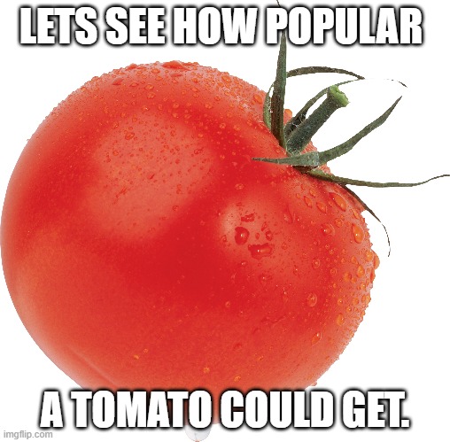 How bout' dem Tomatoes | LETS SEE HOW POPULAR; A TOMATO COULD GET. | image tagged in tomato | made w/ Imgflip meme maker