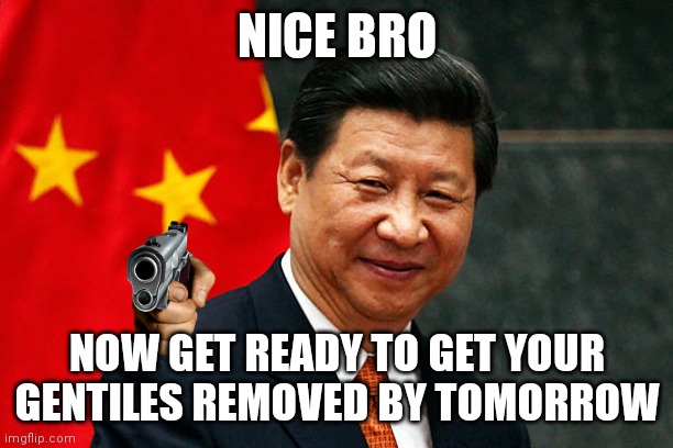 Xi Jinping | NICE BRO NOW GET READY TO GET YOUR GENTILES REMOVED BY TOMORROW | image tagged in xi jinping | made w/ Imgflip meme maker