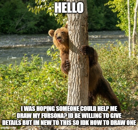 hello, just follow me and let me know and ill follow you and ill meme chat you the details i just need help lol | HELLO; I WAS HOPING SOMEONE COULD HELP ME DRAW MY FURSONA? ID BE WILLING TO GIVE DETAILS BUT IM NEW TO THIS SO IDK HOW TO DRAW ONE | image tagged in shy bear,furry,hello | made w/ Imgflip meme maker