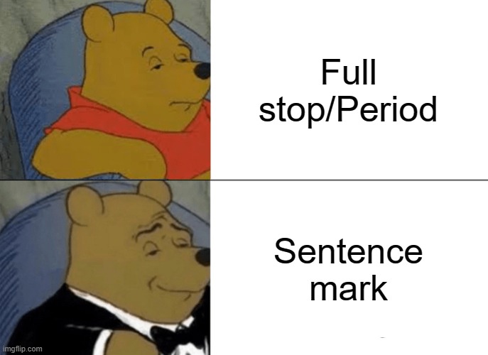 Why isn't it called sentence mark | Full stop/Period; Sentence mark | image tagged in memes,tuxedo winnie the pooh | made w/ Imgflip meme maker