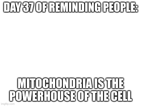 day 37 | DAY 37 OF REMINDING PEOPLE:; MITOCHONDRIA IS THE POWERHOUSE OF THE CELL | image tagged in blank white template | made w/ Imgflip meme maker