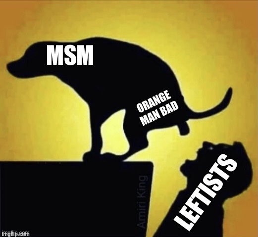 Orange Man Bad | MSM; ORANGE
MAN BAD; LEFTISTS | image tagged in dog feeds leftist | made w/ Imgflip meme maker