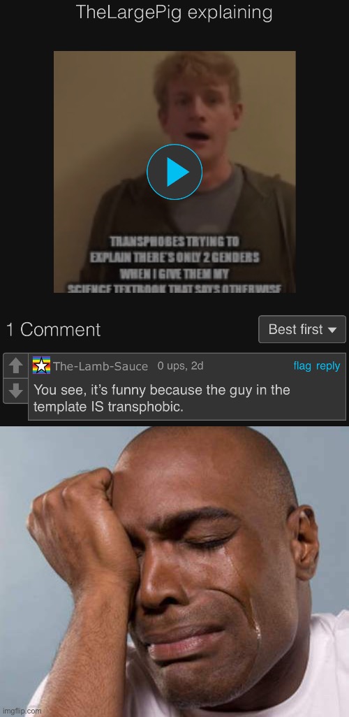 I’m getting absolutely roasted by the LGBTQ stream | image tagged in black guy crying | made w/ Imgflip meme maker