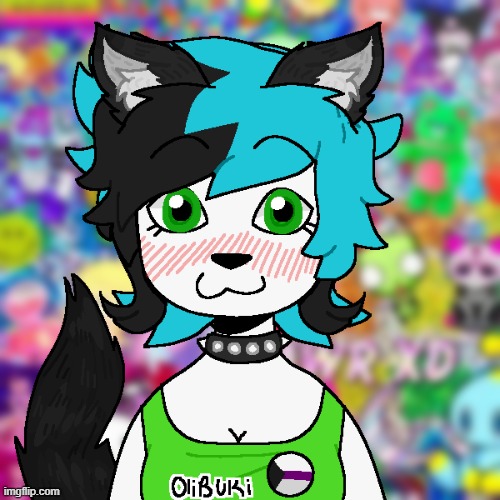 This is my Fursona Everest OwO | image tagged in furries,furry,avatar | made w/ Imgflip meme maker