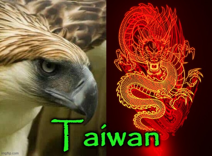 Eagle v Dragon | Taiwan | image tagged in taiwan | made w/ Imgflip meme maker
