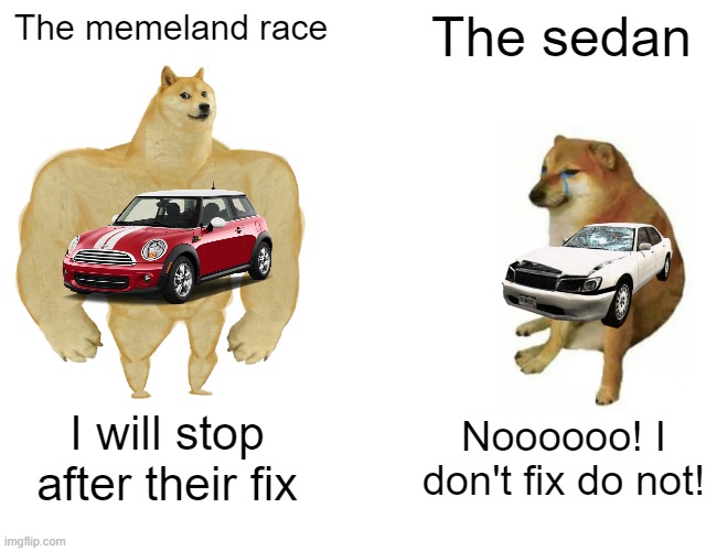 Sedan car doesn't fix out | The memeland race; The sedan; I will stop after their fix; Noooooo! I don't fix do not! | image tagged in memes,buff doge vs cheems | made w/ Imgflip meme maker