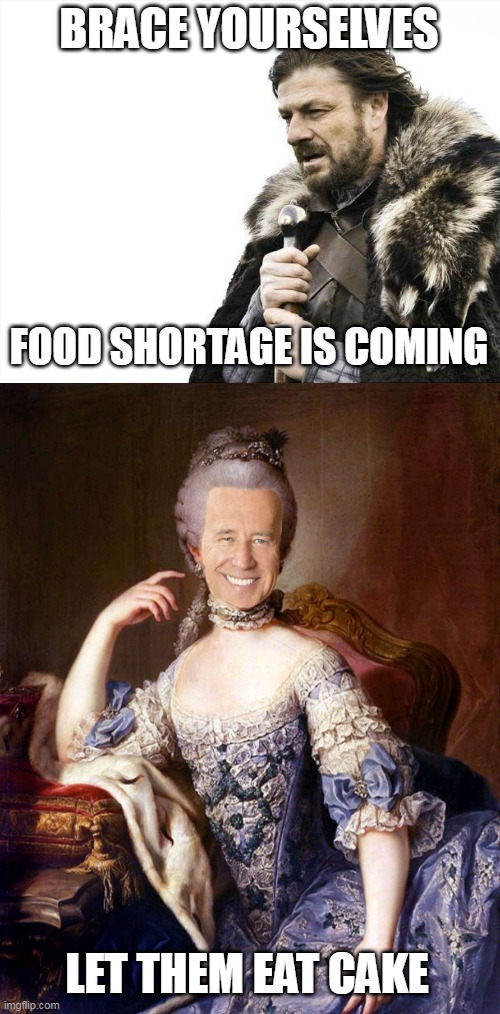BRACE YOURSELVES; FOOD SHORTAGE IS COMING; LET THEM EAT CAKE | image tagged in memes,brace yourselves x is coming | made w/ Imgflip meme maker