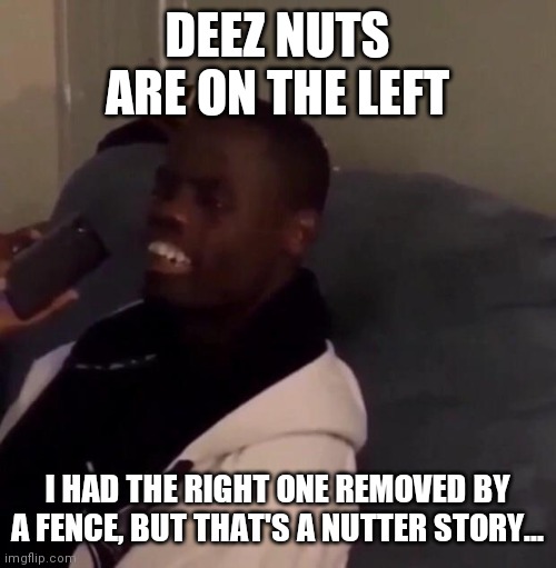 Deez Nutz | DEEZ NUTS ARE ON THE LEFT I HAD THE RIGHT ONE REMOVED BY A FENCE, BUT THAT'S A NUTTER STORY... | image tagged in deez nutz | made w/ Imgflip meme maker