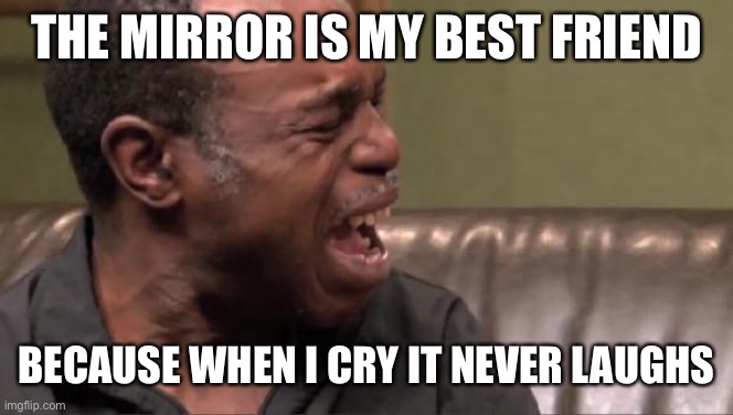 Best Cry Ever | THE MIRROR IS MY BEST FRIEND; BECAUSE WHEN I CRY IT NEVER LAUGHS | image tagged in best cry ever | made w/ Imgflip meme maker