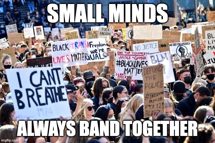 Small Minds |  SMALL MINDS; ALWAYS BAND TOGETHER | image tagged in woke assholes | made w/ Imgflip meme maker
