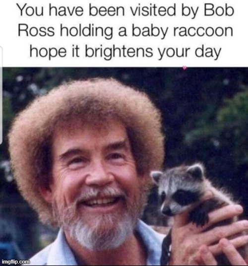image tagged in wait a second this is wholesome content,wholesome,wholesome 100,raccoon,bob ross | made w/ Imgflip meme maker