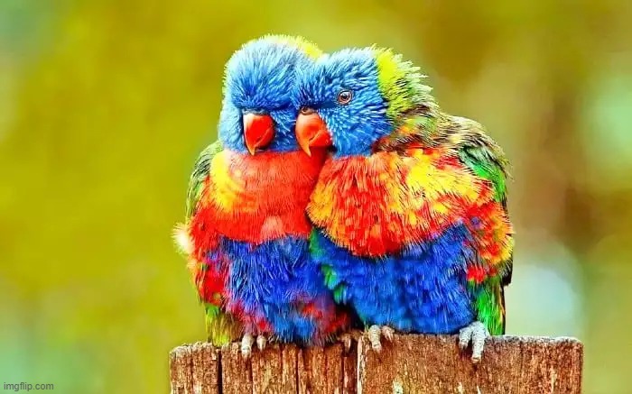 image tagged in awesome | made w/ Imgflip meme maker