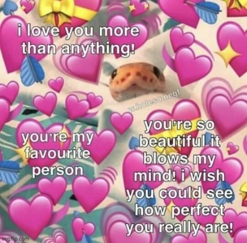 Danger Noodle wants you to know how amazing you really are <333 | image tagged in wait a second this is wholesome content,wholesome,wholesome 100,snake,snakes,snek | made w/ Imgflip meme maker