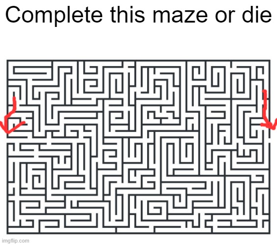 MAZE RUNNER | Complete this maze or die | image tagged in maze runner | made w/ Imgflip meme maker