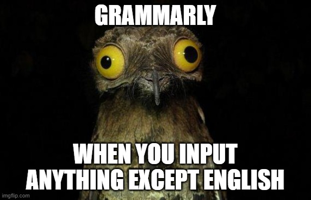 Weird Stuff I Do Potoo | GRAMMARLY; WHEN YOU INPUT ANYTHING EXCEPT ENGLISH | image tagged in memes,weird stuff i do potoo | made w/ Imgflip meme maker