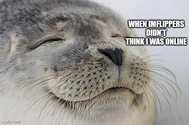 The sound of silence | WHEN IMFLIPPERS DIDN'T THINK I WAS ONLINE | image tagged in memes,satisfied seal,correct | made w/ Imgflip meme maker