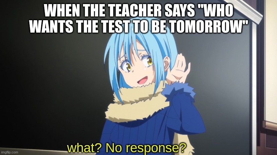 What? No response? | WHEN THE TEACHER SAYS "WHO WANTS THE TEST TO BE TOMORROW"; what? No response? | image tagged in what no response | made w/ Imgflip meme maker
