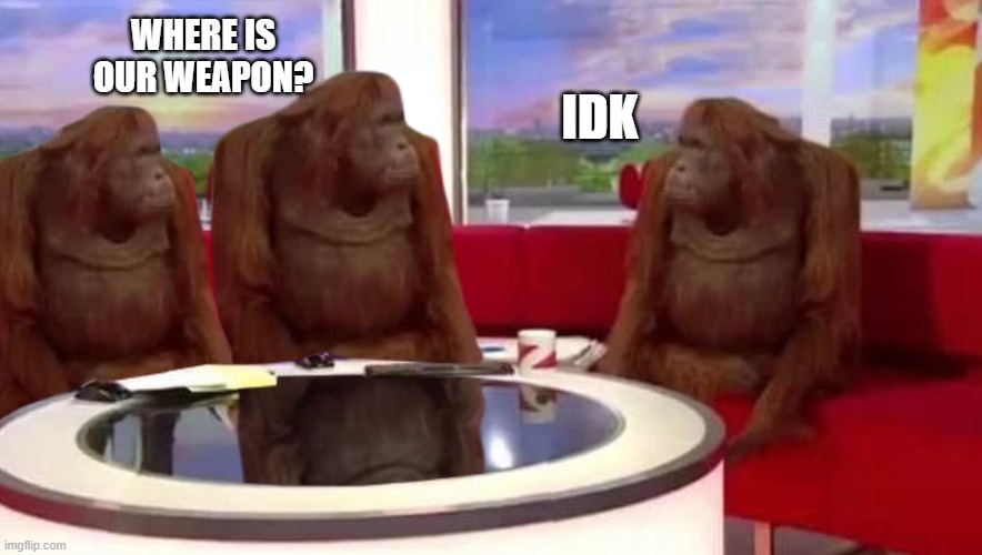 where monkey | WHERE IS OUR WEAPON? IDK | image tagged in where monkey | made w/ Imgflip meme maker