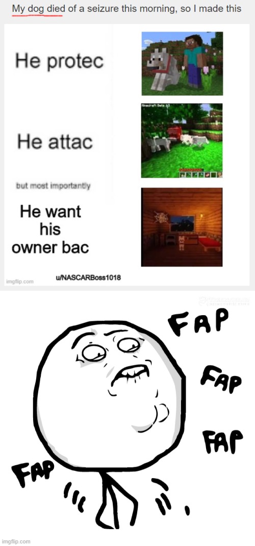good, rape it | image tagged in original fap,memes,sex,funny,animals,facts | made w/ Imgflip meme maker