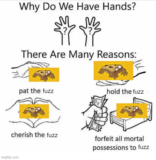 Fuzz the Moldy Sandwich my beloved | fuzz; fuzz; fuzz; fuzz | image tagged in why do we have hands all blank,moldy boi,fuzz the moldy sandwich | made w/ Imgflip meme maker