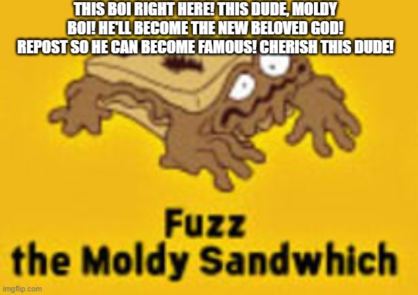Fuzz My Beloved | THIS BOI RIGHT HERE! THIS DUDE, MOLDY BOI! HE'LL BECOME THE NEW BELOVED GOD! REPOST SO HE CAN BECOME FAMOUS! CHERISH THIS DUDE! | image tagged in moldy boi,fuzz the moldy sandwich | made w/ Imgflip meme maker