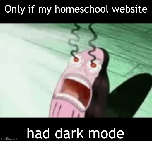 Im being blinded | Only if my homeschool website; had dark mode | image tagged in burning,light mode,dark mode,homeschool | made w/ Imgflip meme maker
