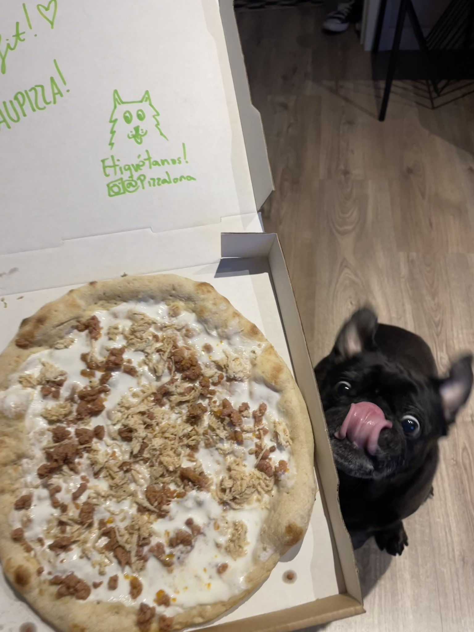 Pug with Pizza Blank Meme Template