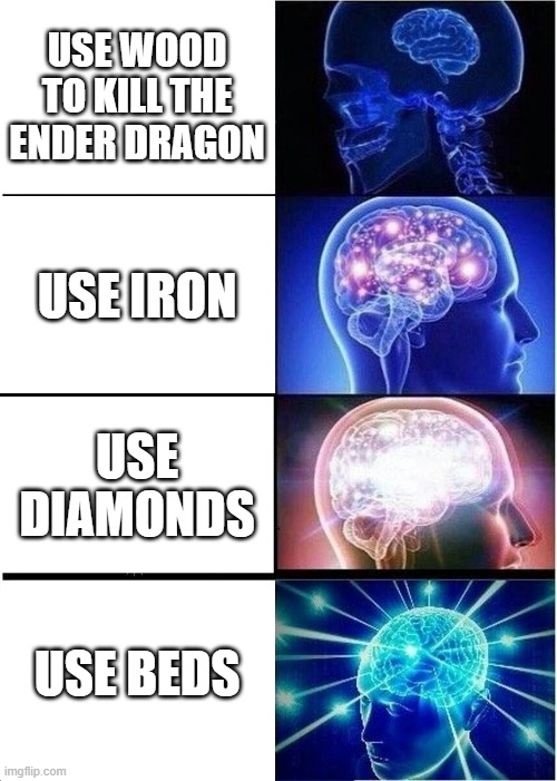 I have used only my fists before. it took 2 hours | USE WOOD TO KILL THE ENDER DRAGON; USE IRON; USE DIAMONDS; USE BEDS | image tagged in memes,expanding brain | made w/ Imgflip meme maker