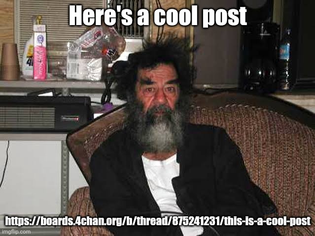 saddam Hussein | Here's a cool post; https://boards.4chan.org/b/thread/875241231/this-is-a-cool-post | image tagged in saddam hussein | made w/ Imgflip meme maker