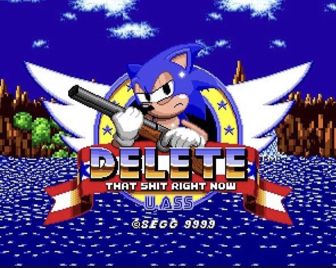 Sonic: DELETE THAT SH*T RIGHT NOW. U A$$ Blank Meme Template