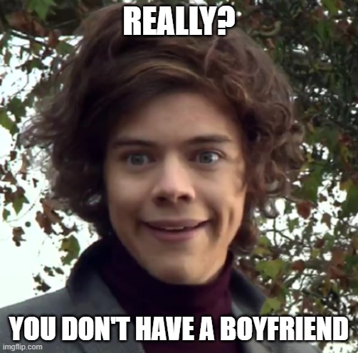 No lover | REALLY? YOU DON'T HAVE A BOYFRIEND | image tagged in harry funny face | made w/ Imgflip meme maker