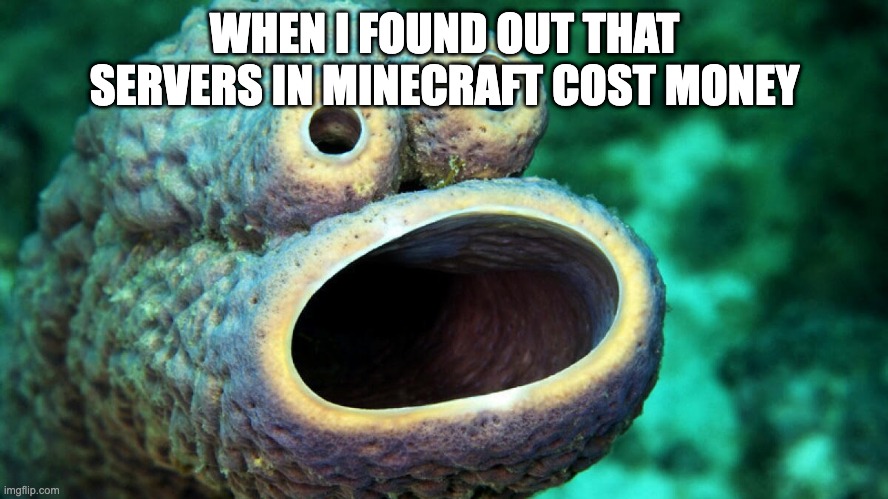 Minecraft servers cost money? | WHEN I FOUND OUT THAT SERVERS IN MINECRAFT COST MONEY | image tagged in mincraft servers cost money | made w/ Imgflip meme maker