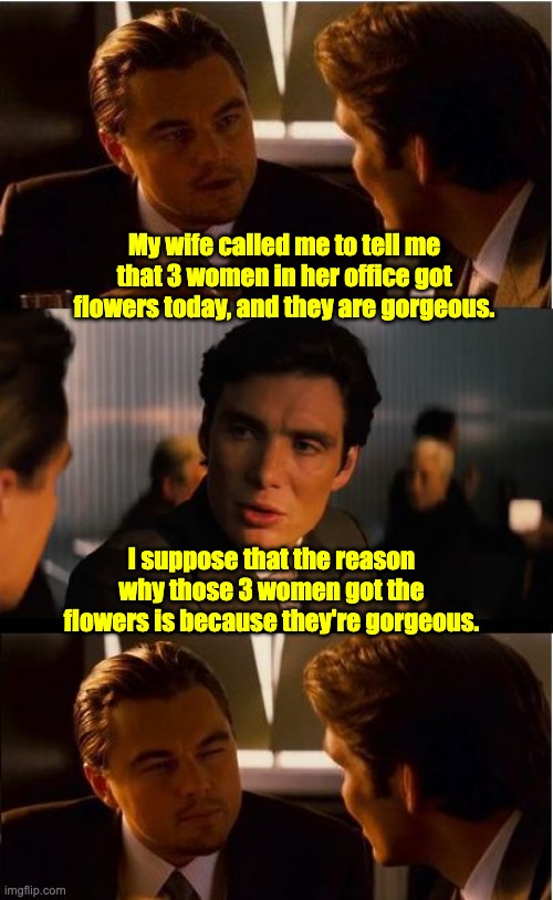 Gorgeous | My wife called me to tell me that 3 women in her office got flowers today, and they are gorgeous. I suppose that the reason why those 3 women got the flowers is because they're gorgeous. | image tagged in memes,inception | made w/ Imgflip meme maker