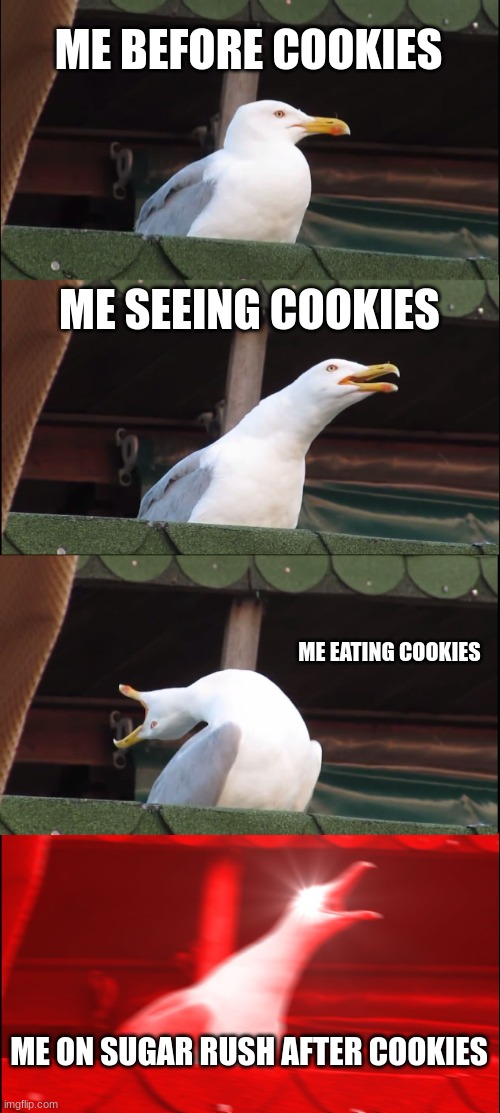 Inhaling Seagull | ME BEFORE COOKIES; ME SEEING COOKIES; ME EATING COOKIES; ME ON SUGAR RUSH AFTER COOKIES | image tagged in memes,inhaling seagull | made w/ Imgflip meme maker