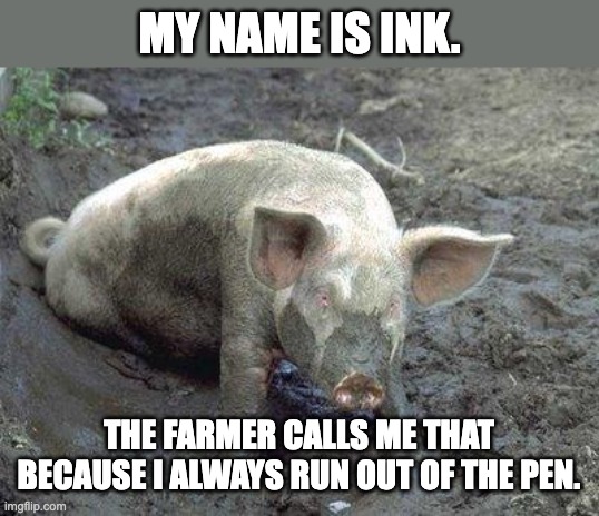 Ink | MY NAME IS INK. THE FARMER CALLS ME THAT BECAUSE I ALWAYS RUN OUT OF THE PEN. | image tagged in pig in mud | made w/ Imgflip meme maker