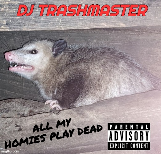 DJ Trashmaster | DJ TRASHMASTER; ALL MY HOMIES PLAY DEAD | image tagged in possum,music | made w/ Imgflip meme maker
