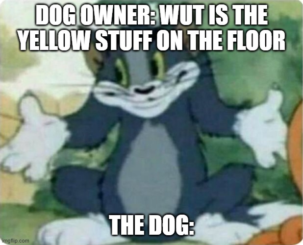 Tom Shrugging | DOG OWNER: WUT IS THE YELLOW STUFF ON THE FLOOR; THE DOG: | image tagged in tom shrugging | made w/ Imgflip meme maker