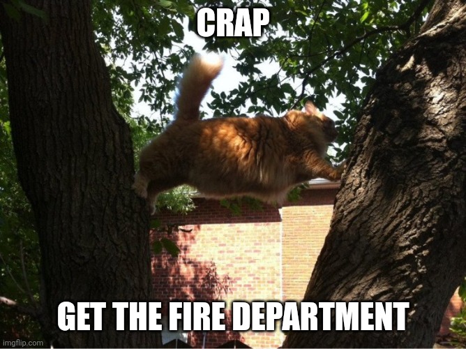THAT WAS A BAD IDEA | CRAP; GET THE FIRE DEPARTMENT | image tagged in cats,funny cats,fail | made w/ Imgflip meme maker