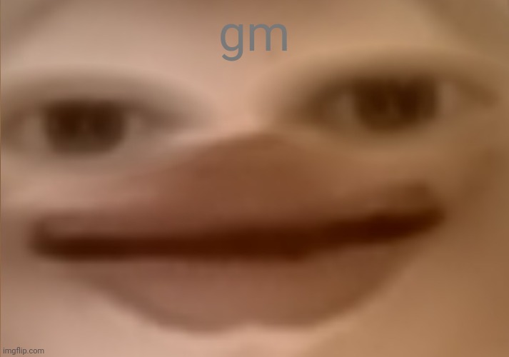 hello | gm | image tagged in i currently have 19 people in my basement | made w/ Imgflip meme maker