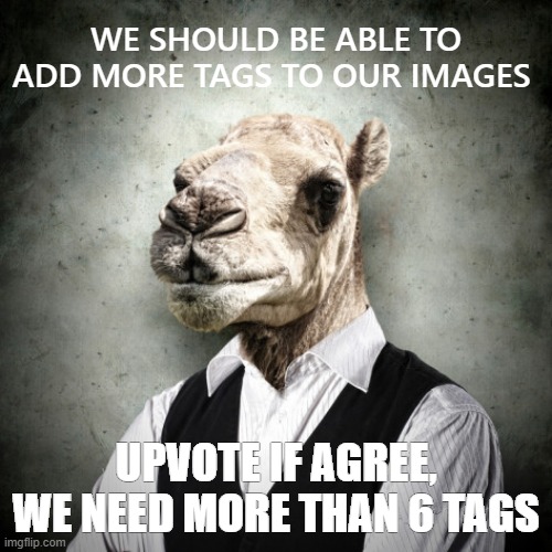 LOOK, MAX TAGS ONLY 6, IT SHOULD BE 10 RYT | WE SHOULD BE ABLE TO ADD MORE TAGS TO OUR IMAGES; UPVOTE IF AGREE, WE NEED MORE THAN 6 TAGS | image tagged in camel businessman,2nd tag,3rd tag,4th tag,5th tag,6th tag | made w/ Imgflip meme maker
