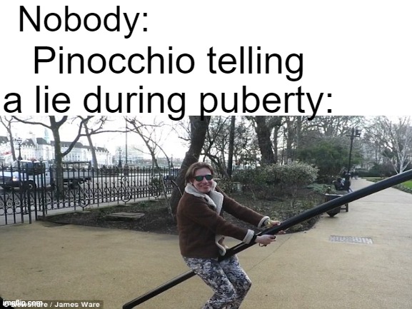 Nobody:; Pinocchio telling a lie during puberty: | image tagged in memes | made w/ Imgflip meme maker